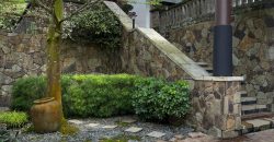 Designer house in Bukit Timah, near good schools and MRT