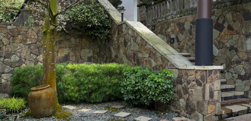 Designer house in Bukit Timah, near good schools and MRT