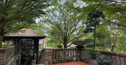 Designer house in Bukit Timah, near good schools and MRT