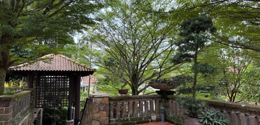 Designer house in Bukit Timah, near good schools and MRT